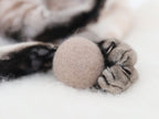 Cat Ball Toy product image 4
