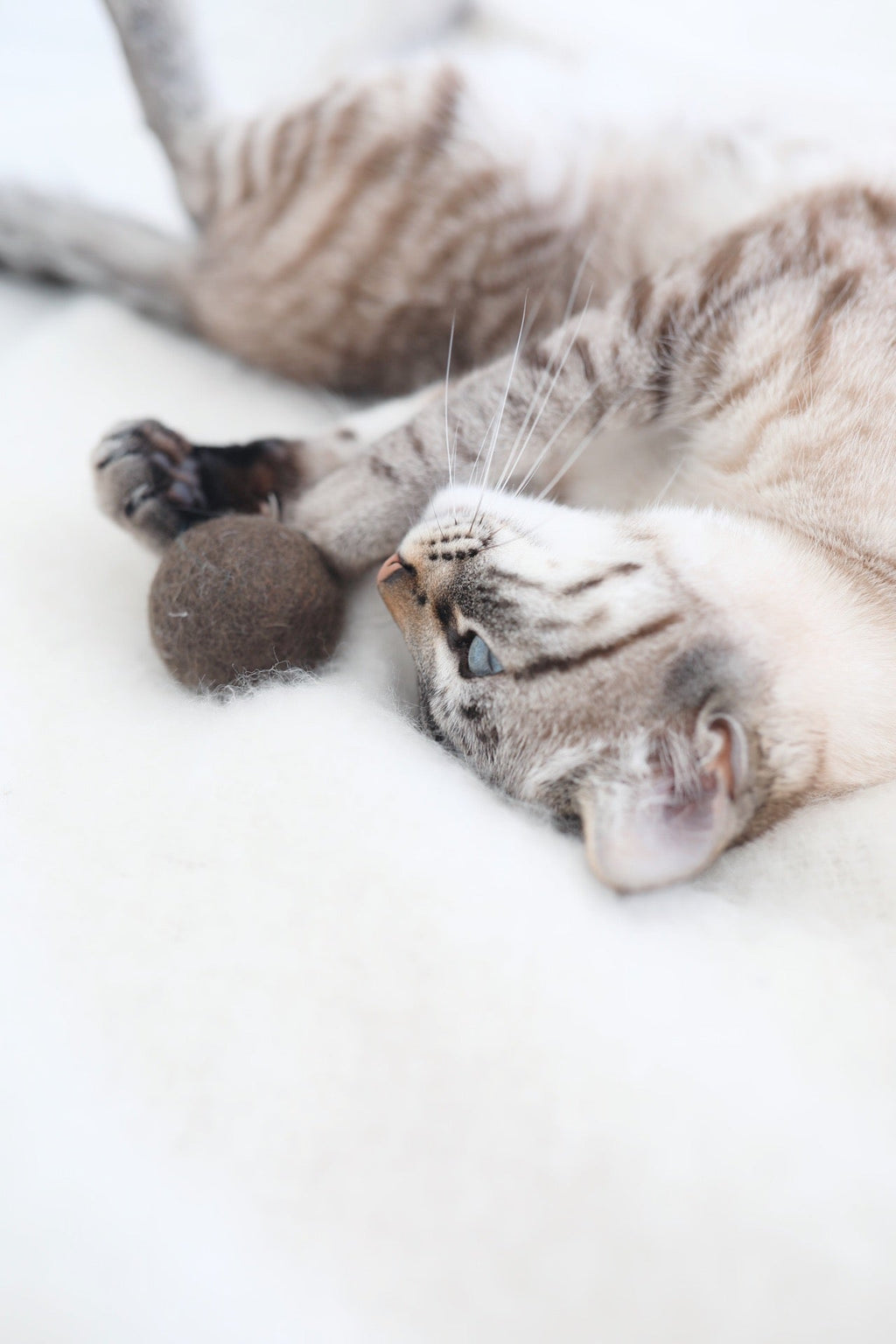 Cat Ball Toy product image 5