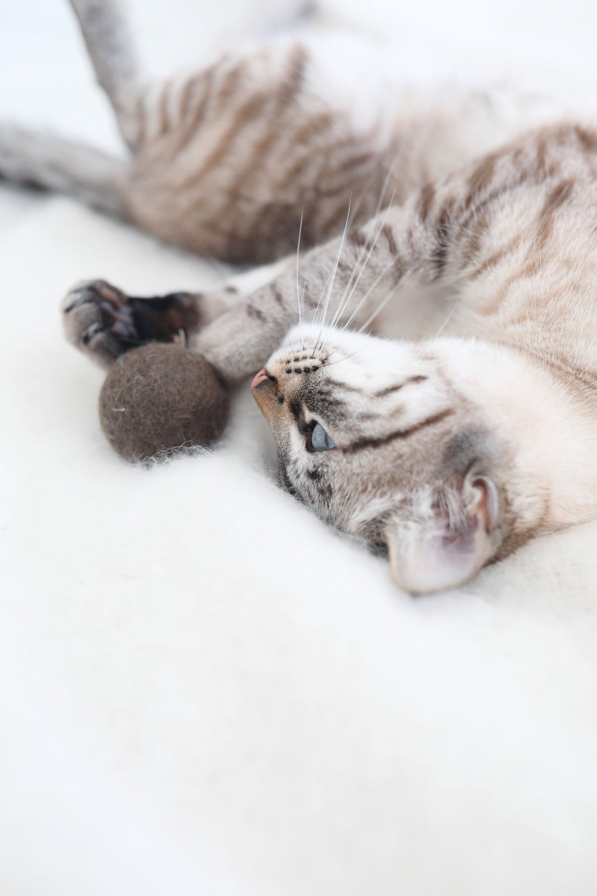 Cat Ball Toy product image 5
