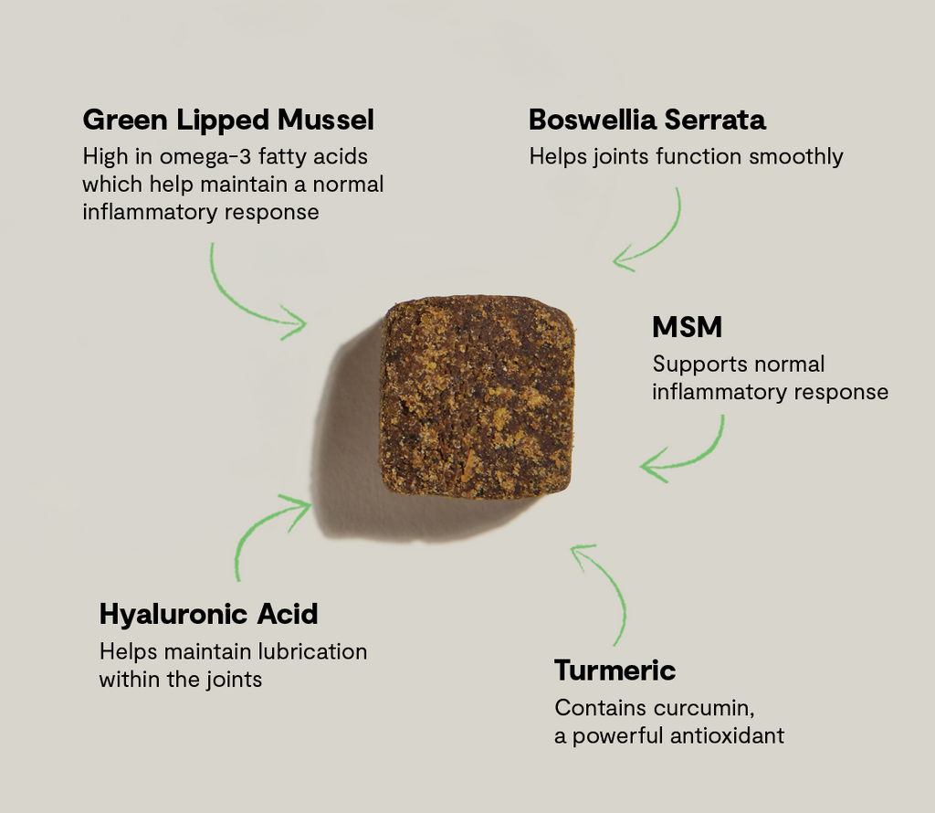 Dog Joint Supplement product image 5