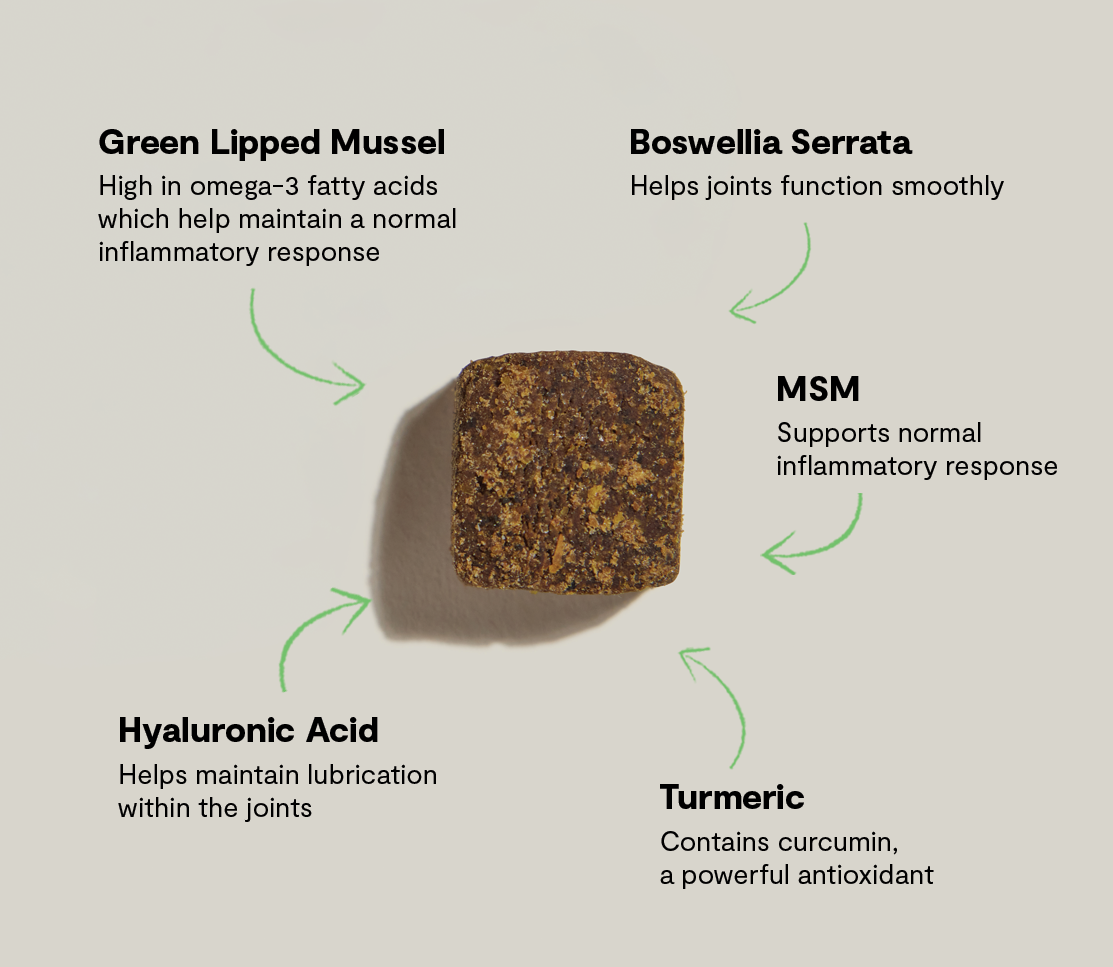 Dog Joint Supplement product image 5