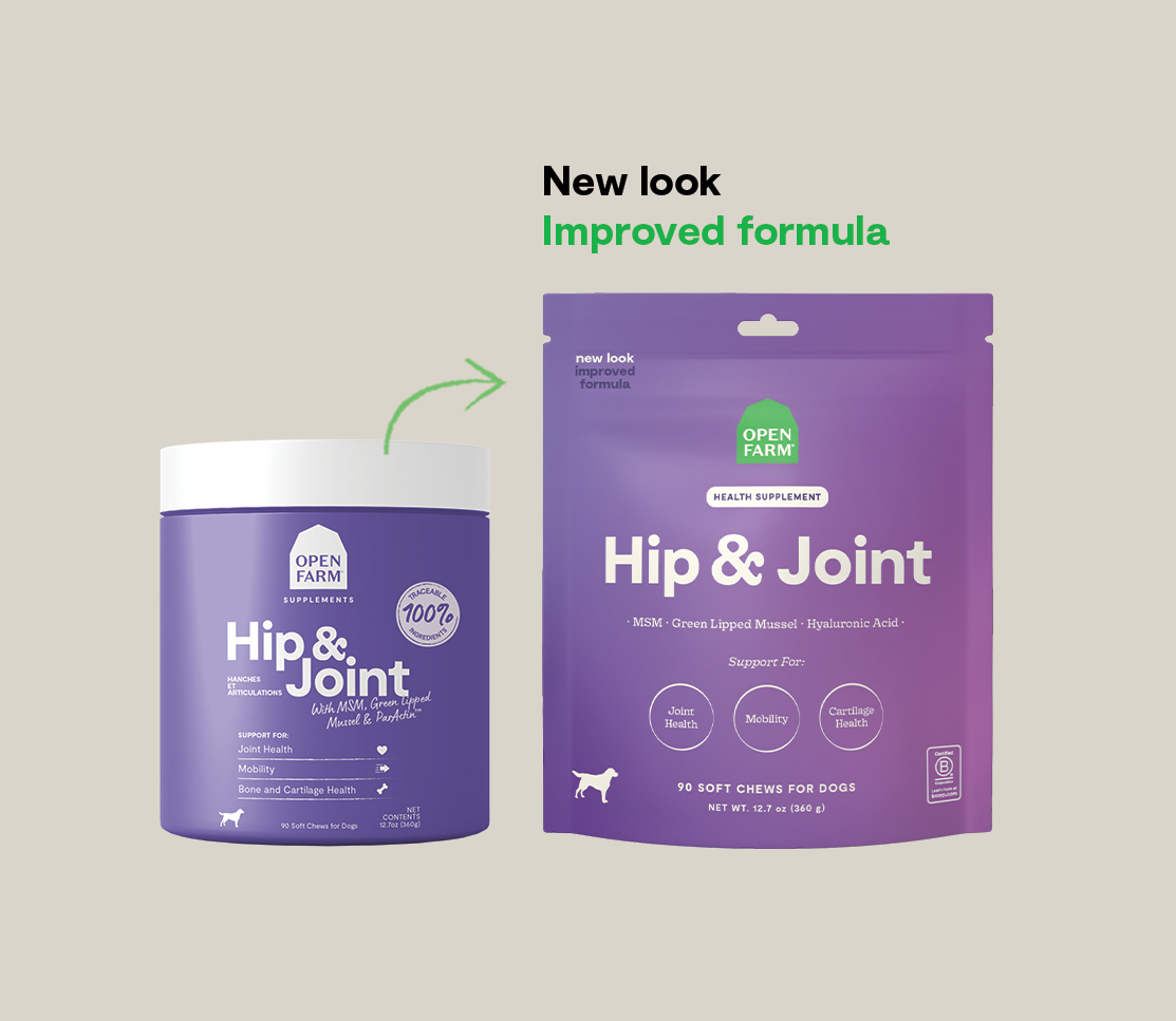 Dog Joint Supplement product image 6