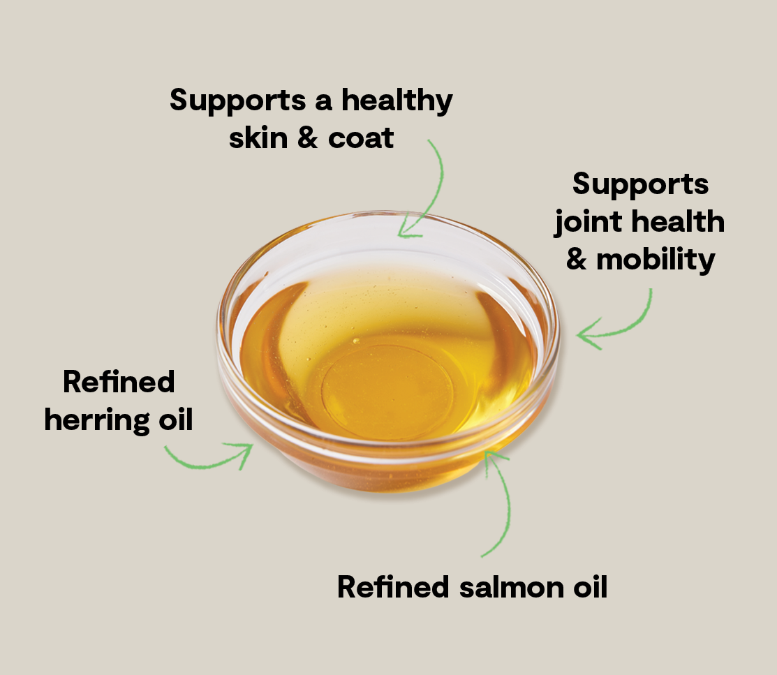 Fish Oil product image 3