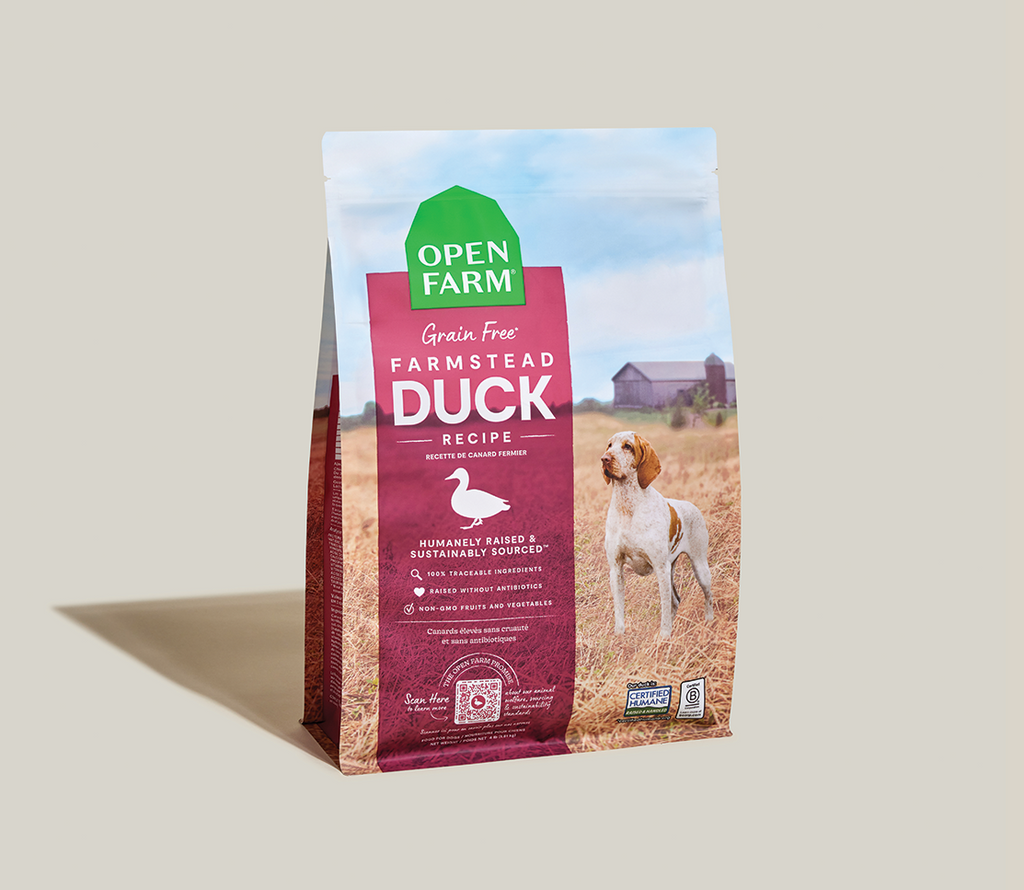 Dry Dog Food product image 2
