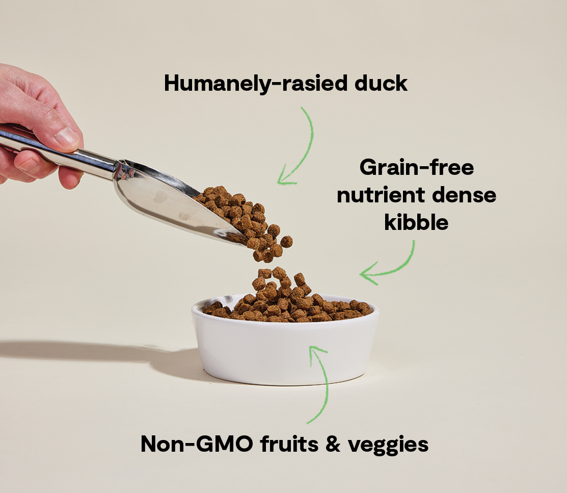 Dry Dog Food product image 5