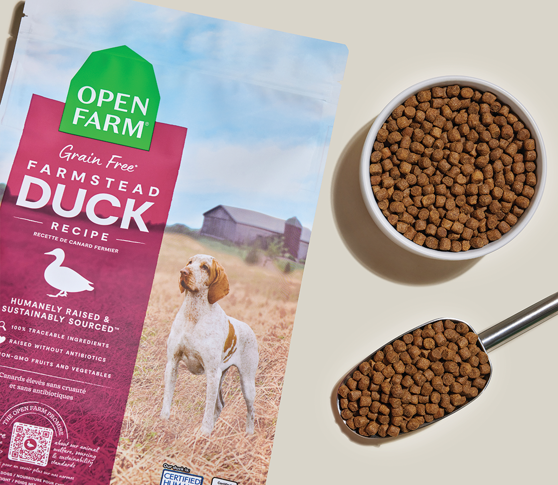 Dry Dog Food product image 6