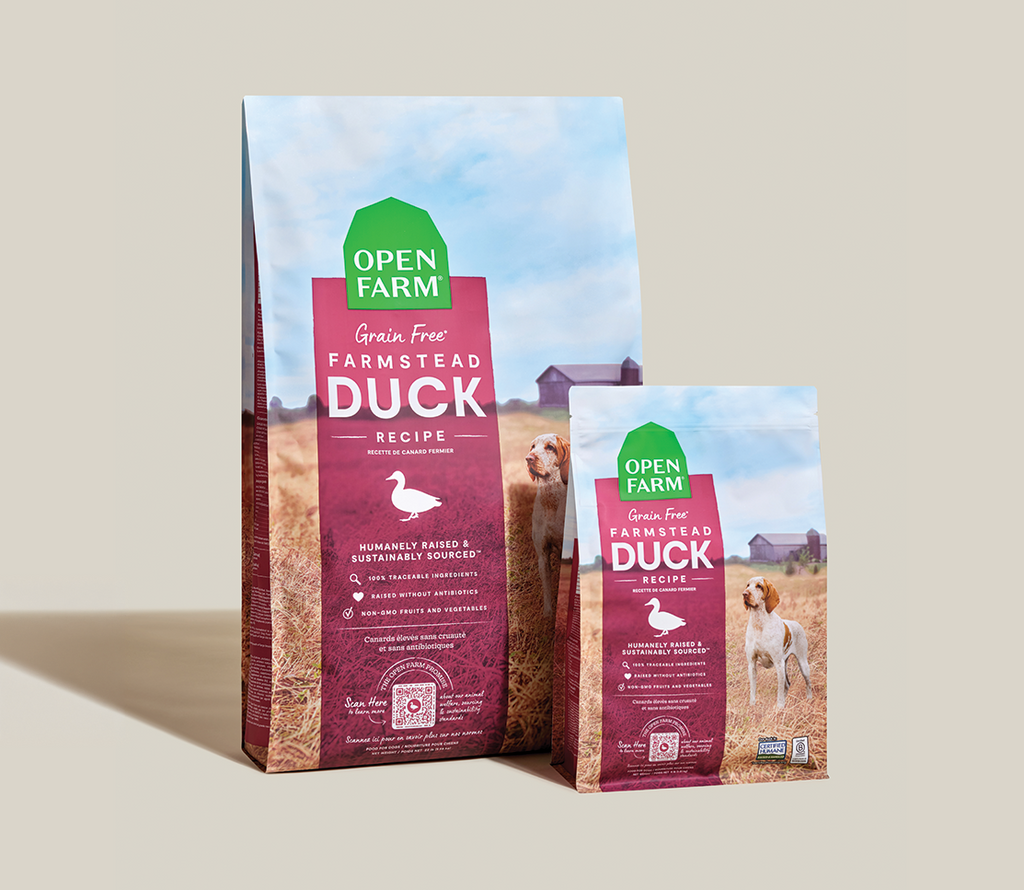 Dry Dog Food product image 8