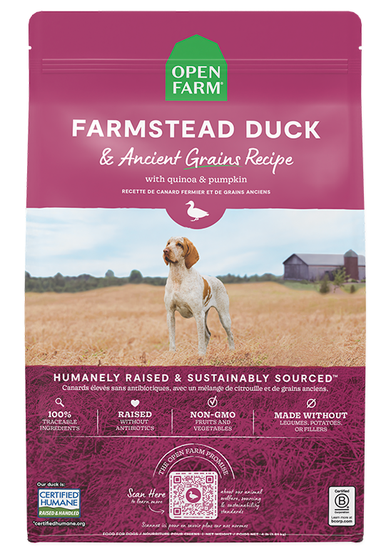 Dog Food product image 1