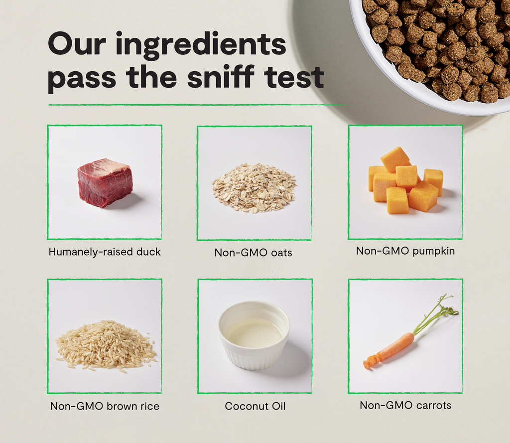 Dog Food product image 3