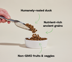 Dog Food product image 5