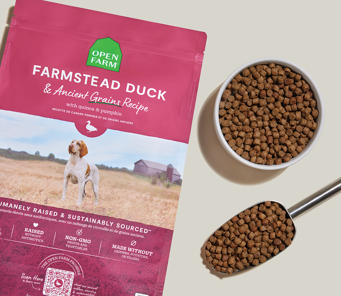 Dog Food product image 6