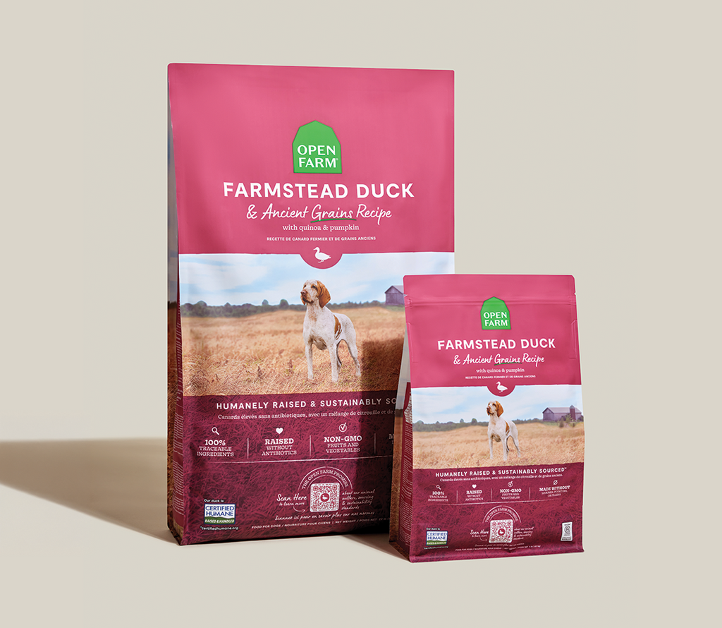Dog Food product image 8
