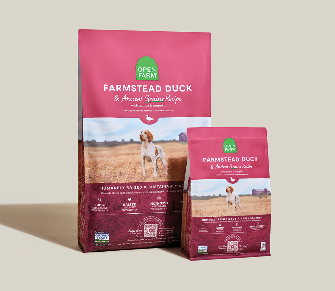 Dog Food product image 8