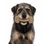 Nylon Dog Chew Toy product image 7
