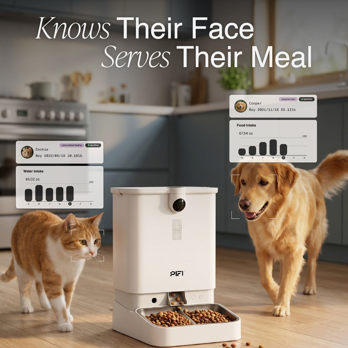 Smart Pet Feeder product image 2