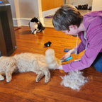 Pet Hair Removal Cleaning and Deshedding Bundle product image 9