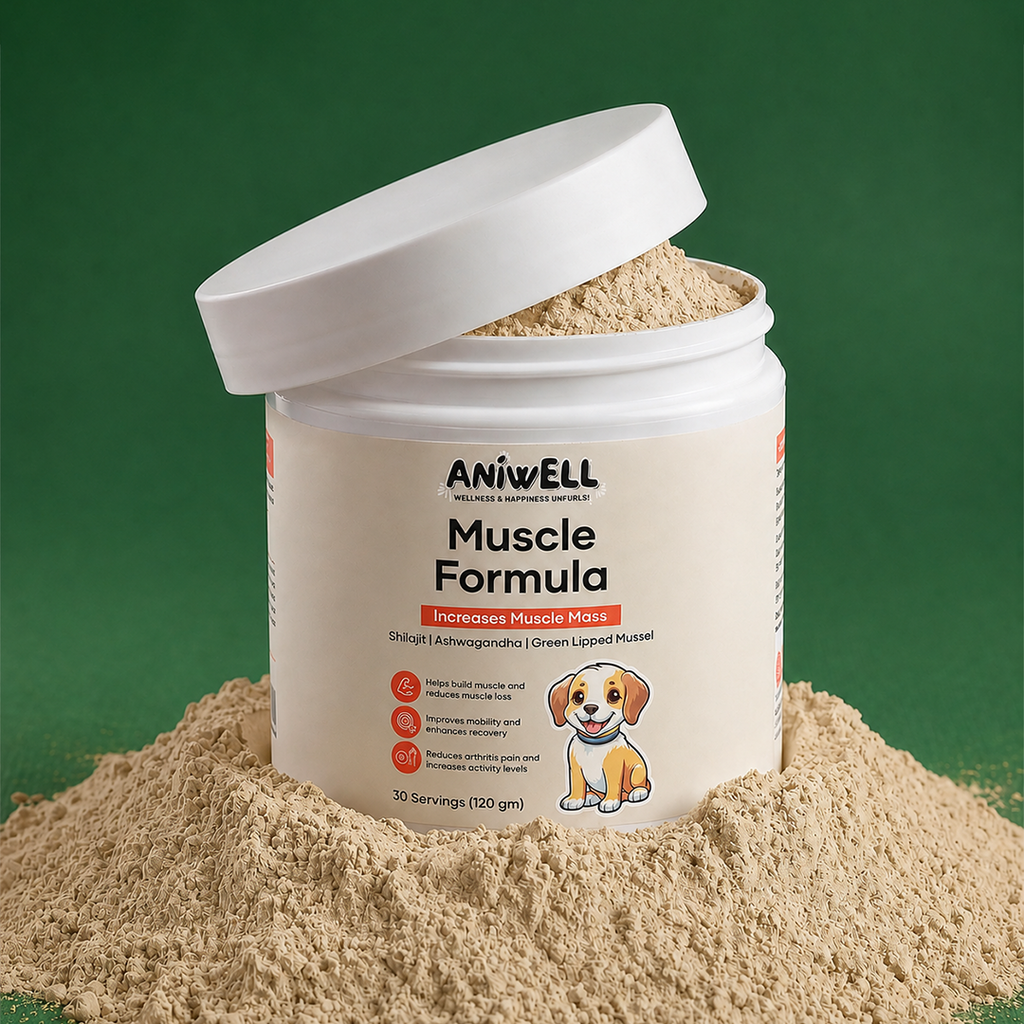 Dog Muscle and Joint Supplement Powder product image 1