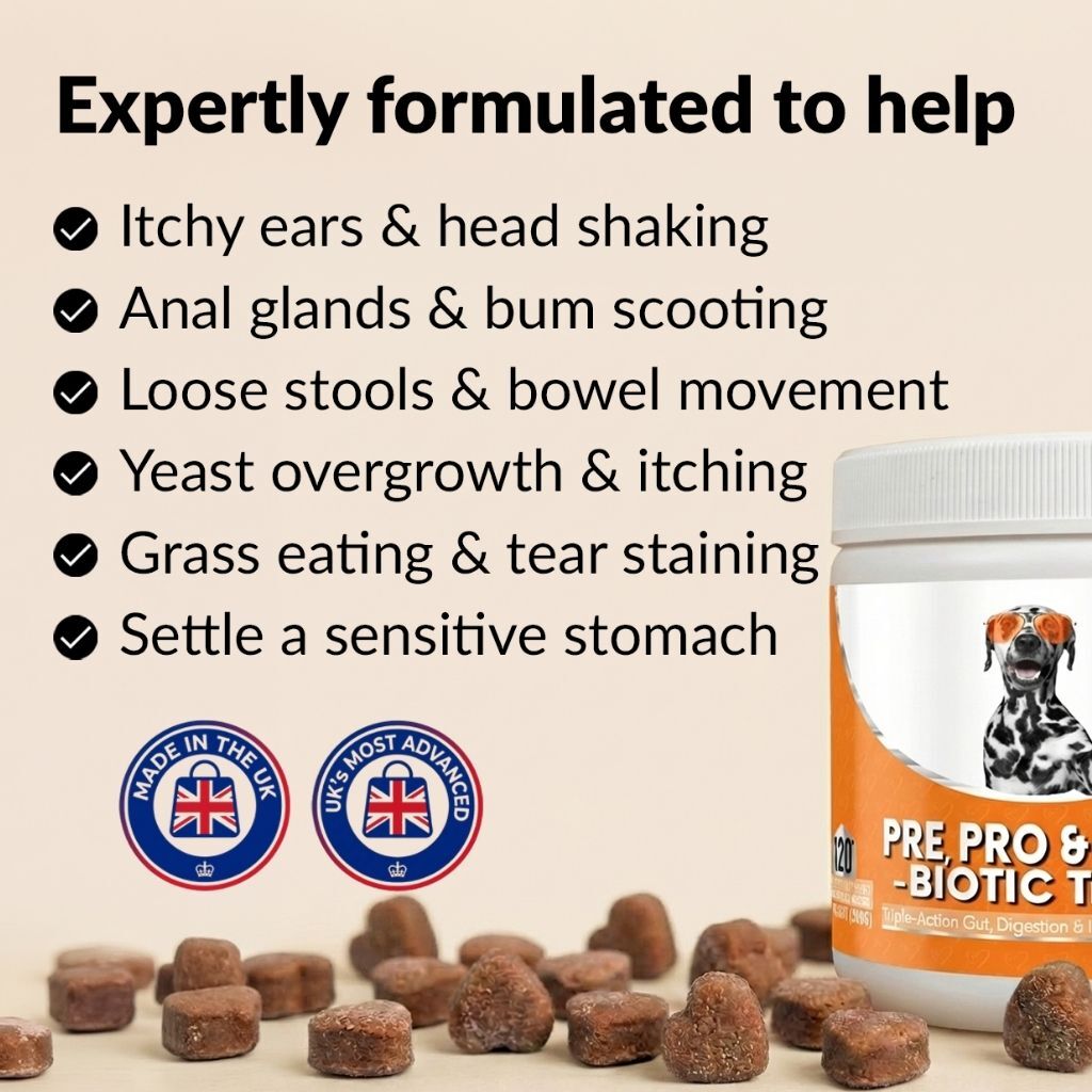 Dog Digestive Treats product image 2