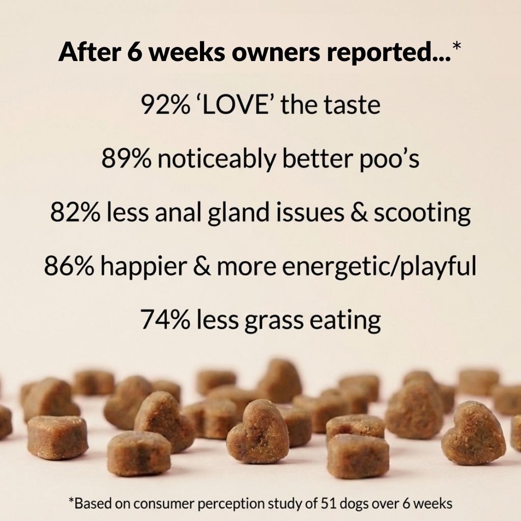 Dog Digestive Treats product image 5