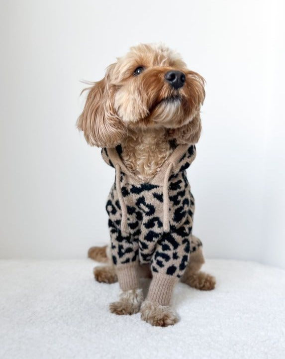 Milan Leopard Print Hoodie Product Image Detail pug dog shirt