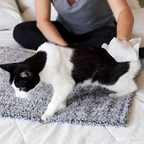 Cat Grooming Wipes product image 4