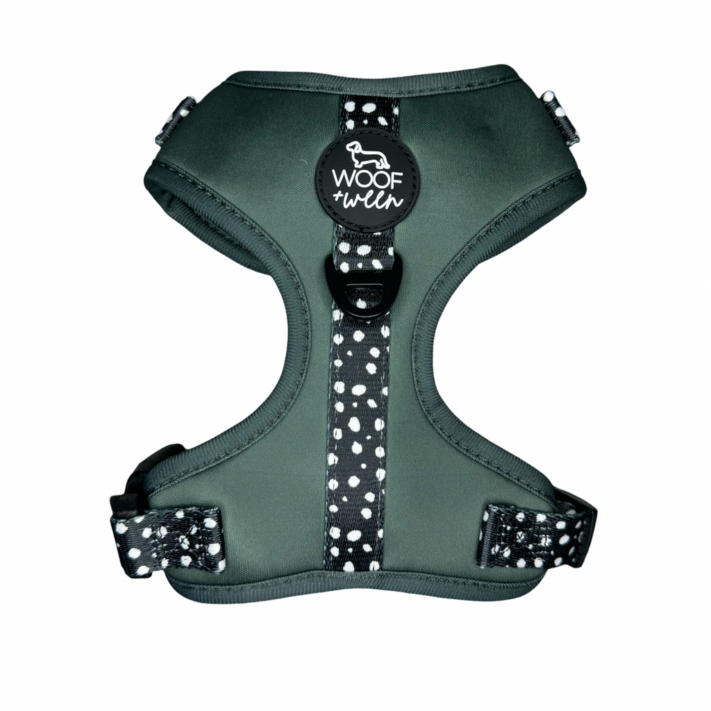 Adjustable Dog Harness product image 1