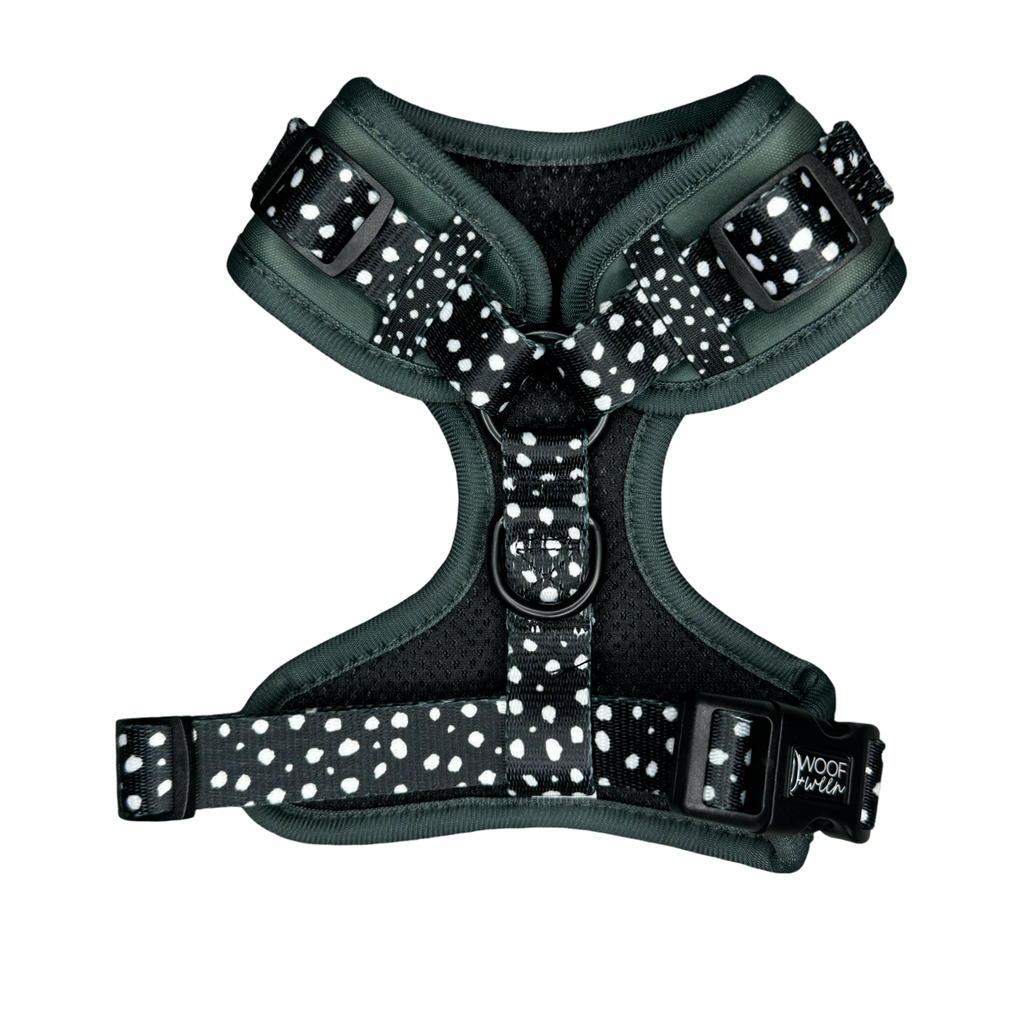 Adjustable Dog Harness product image 2