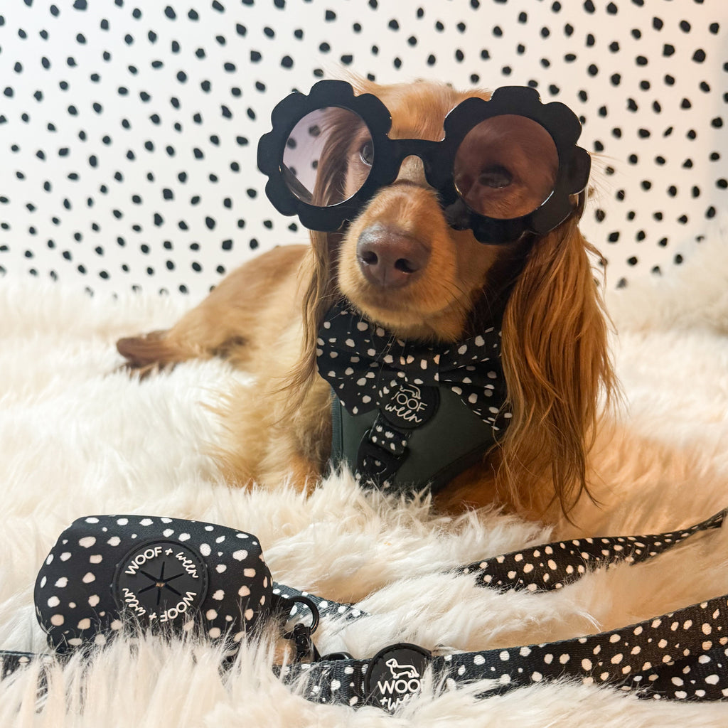 Adjustable Dog Harness product image 5
