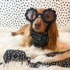 Adjustable Dog Harness product image 5