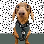 Adjustable Dog Harness product image 8