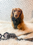 Adjustable Dog Harness product image 12
