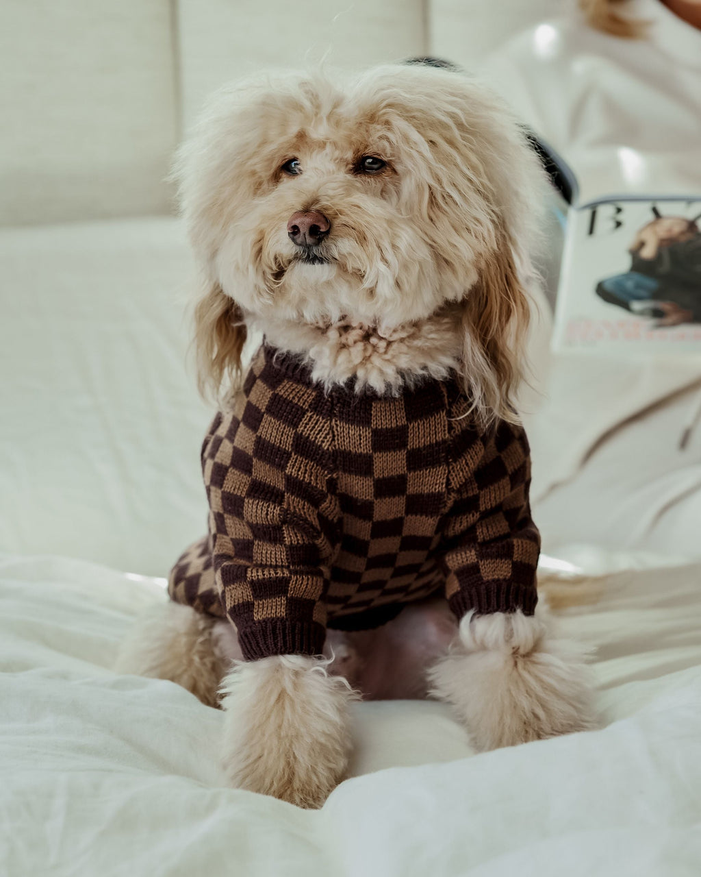 Dog Sweater product image 1