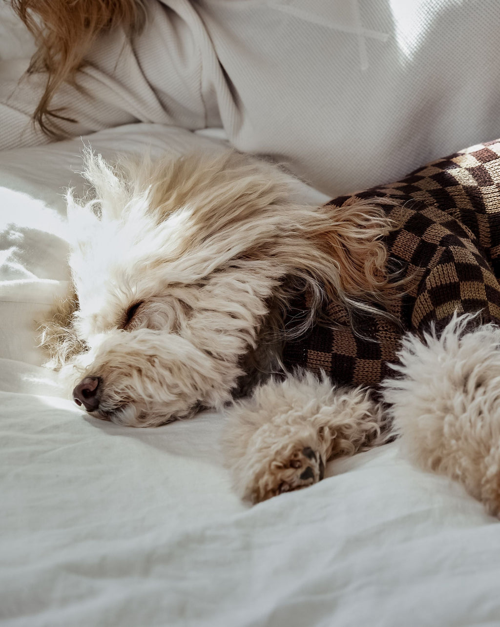 Dog Sweater product image 4
