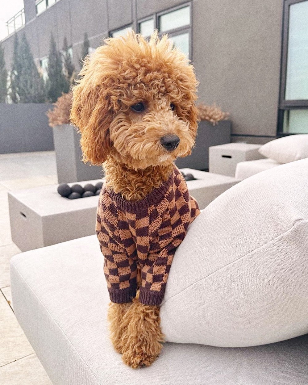 Dog Sweater product image 11