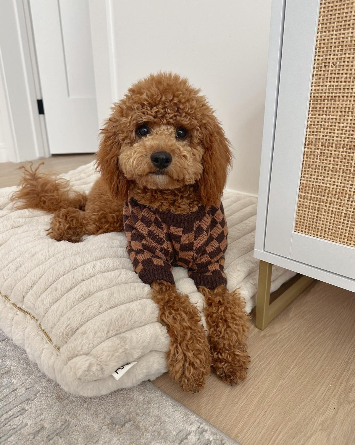 Dog Sweater product image 12