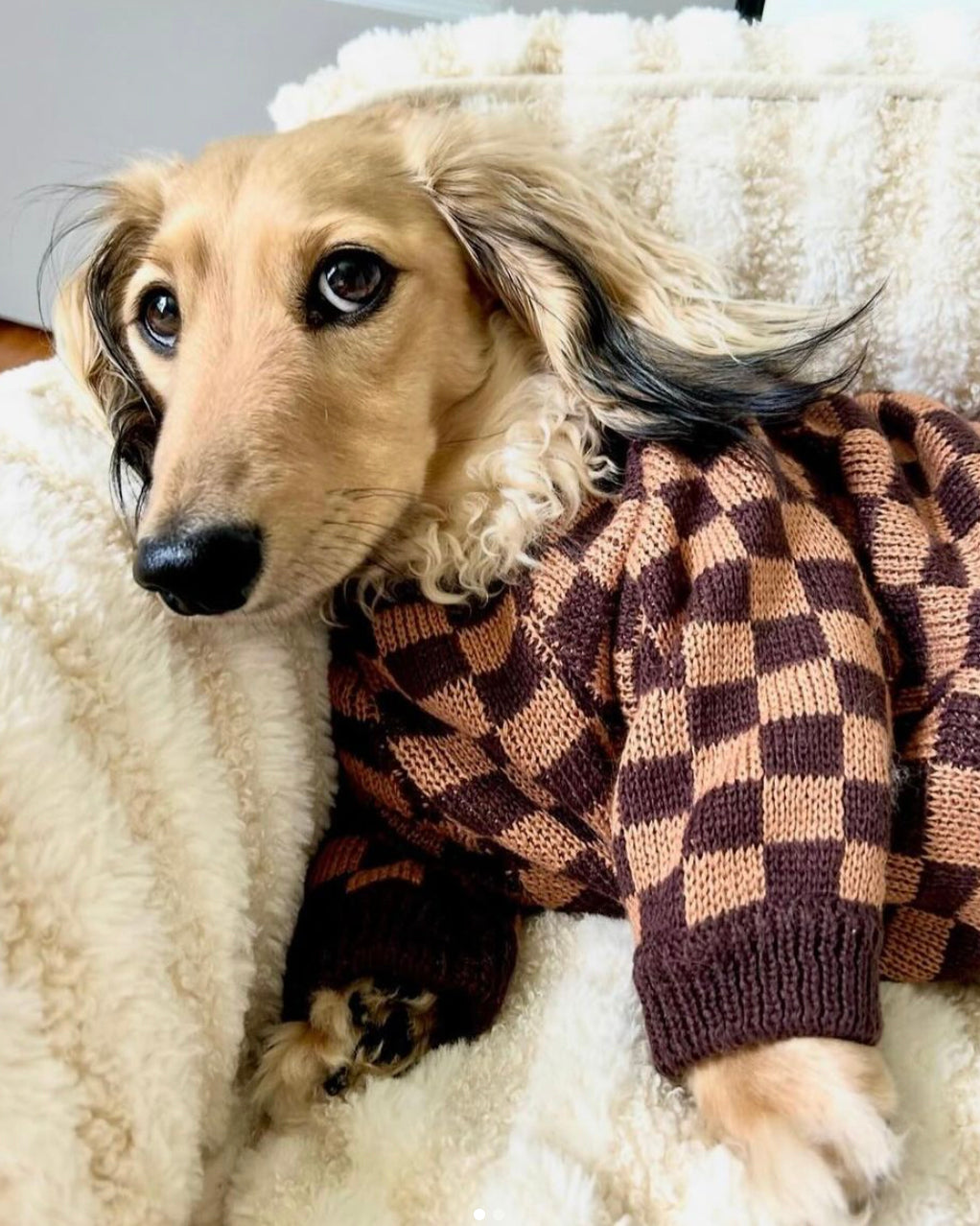 Dog Sweater product image 15