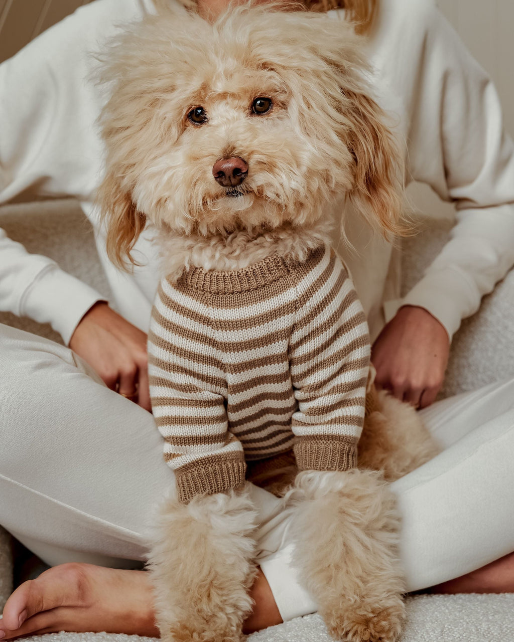 Dog Sweater product image 5