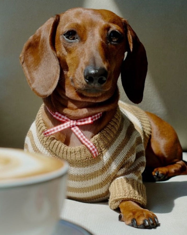 Dog Sweater product image 7