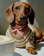 Dog Sweater product image 7
