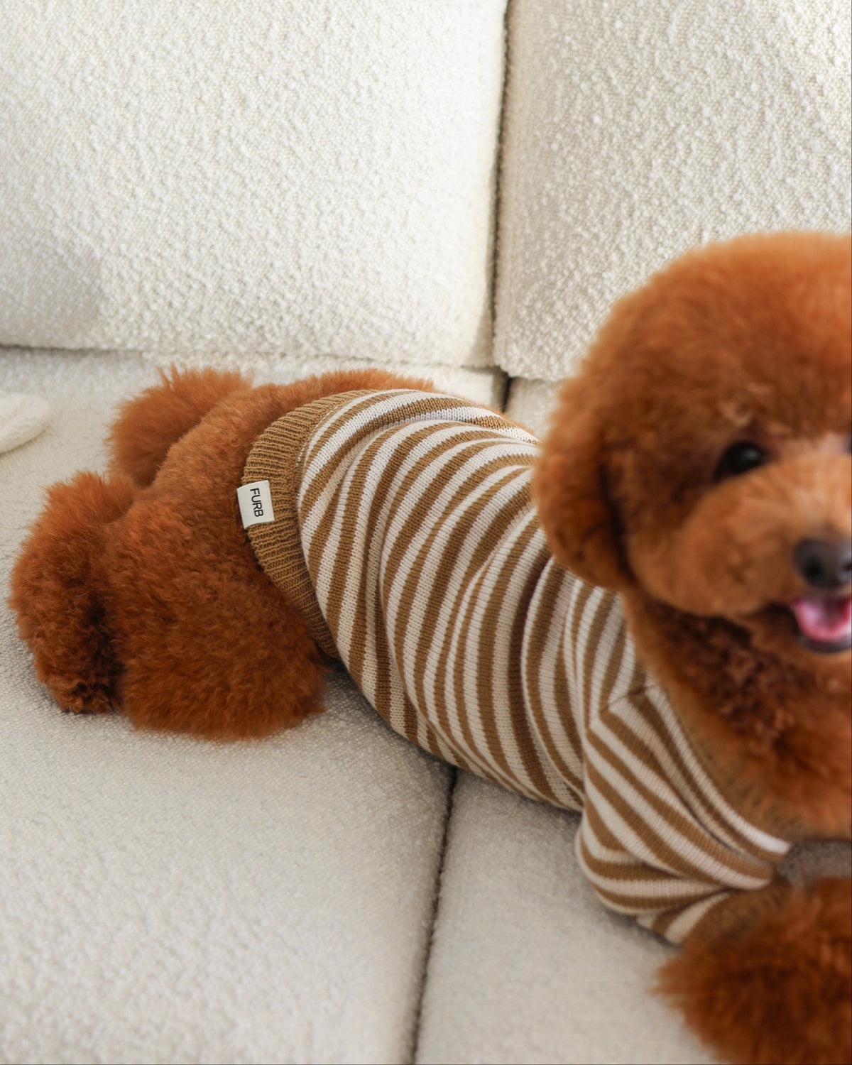 Dog Sweater product image 9