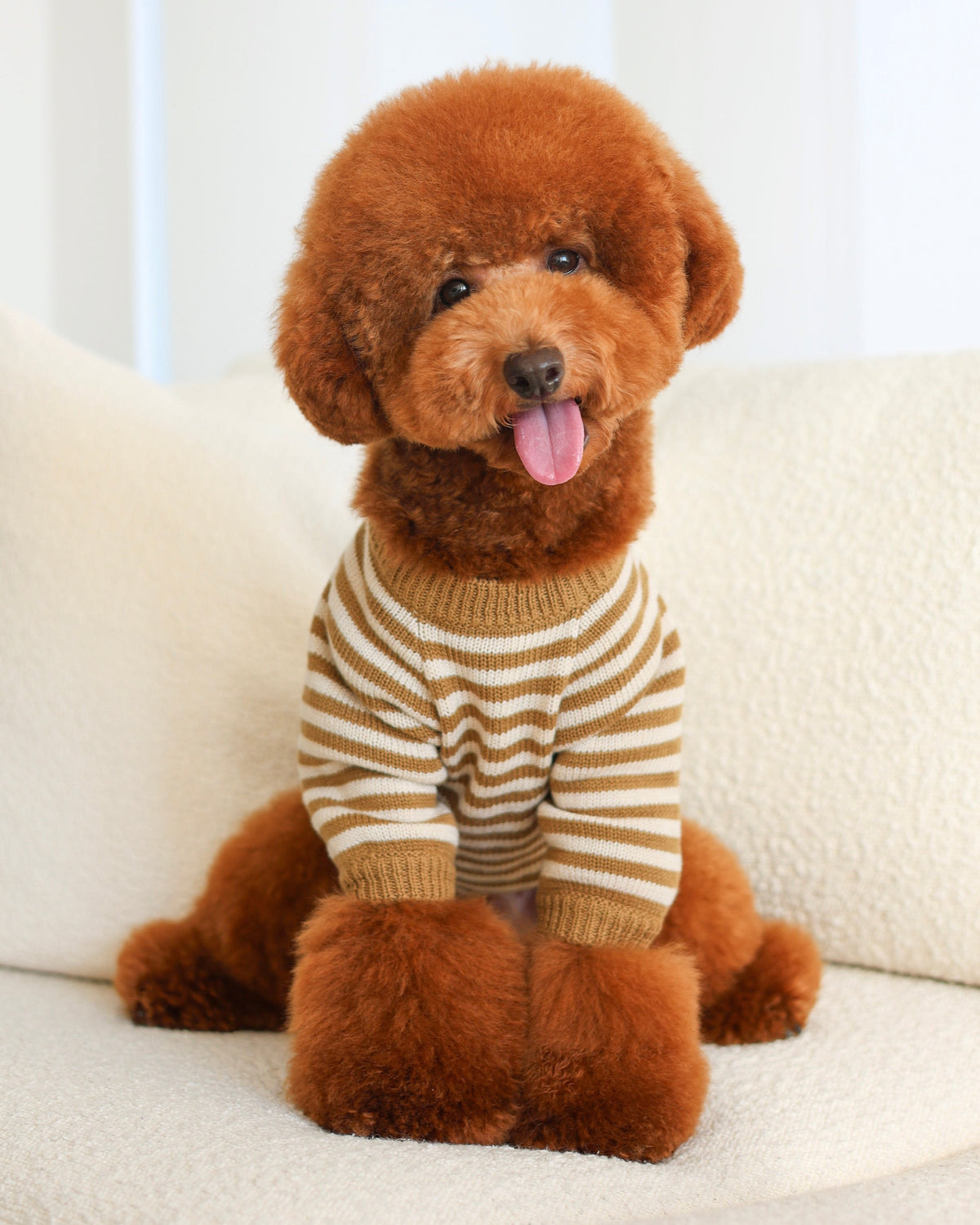 Dog Sweater product image 10