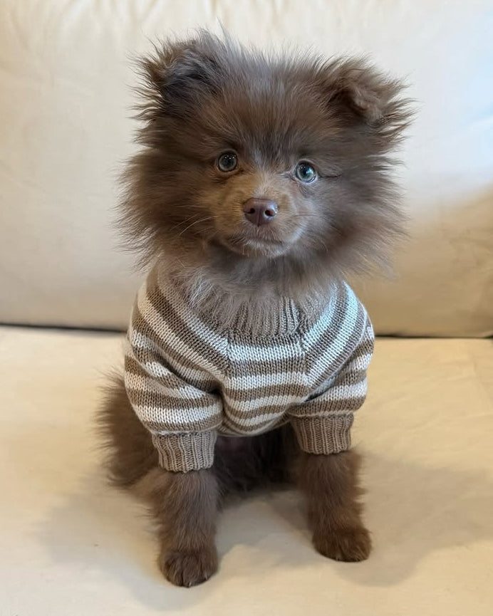 Dog Sweater product image 11