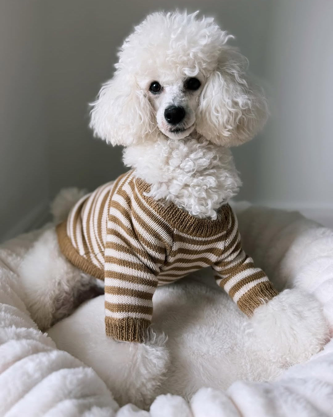 Dog Sweater product image 12