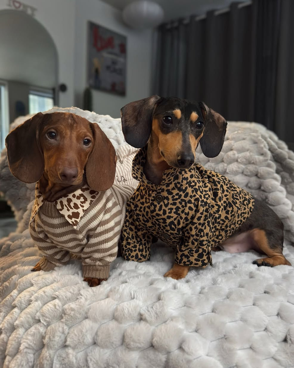 Dog Sweater product image 13