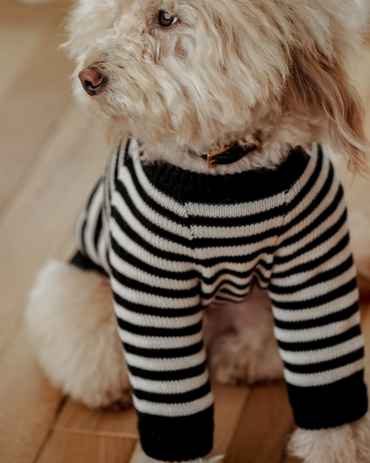 Dog Sweater product image 2