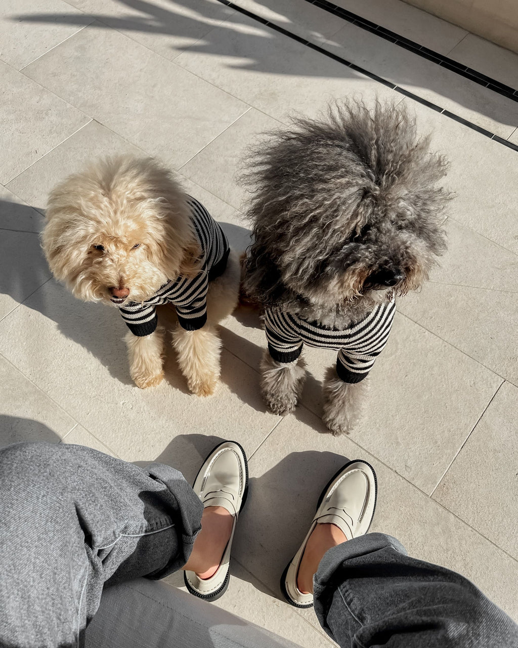 Dog Sweater product image 8