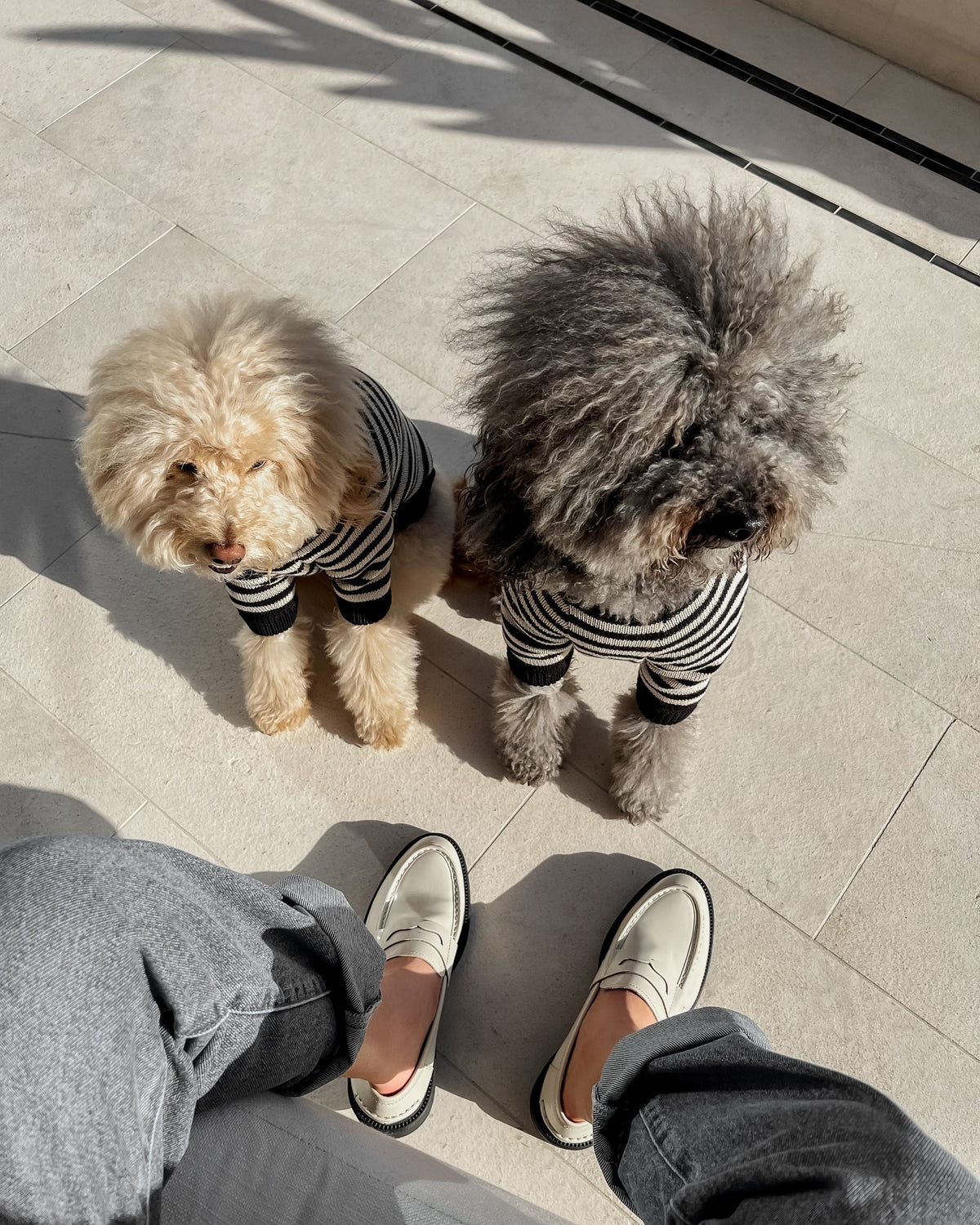 Dog Sweater product image 8