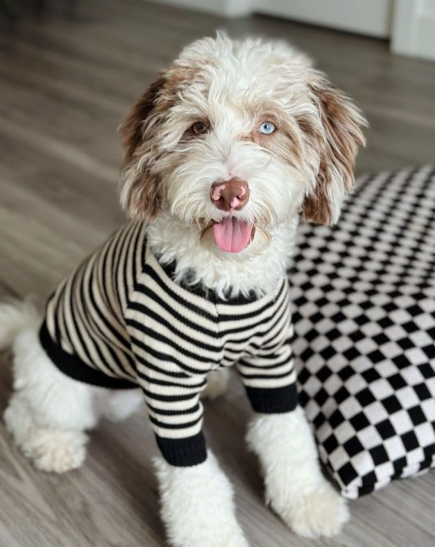 Dog Sweater product image 9