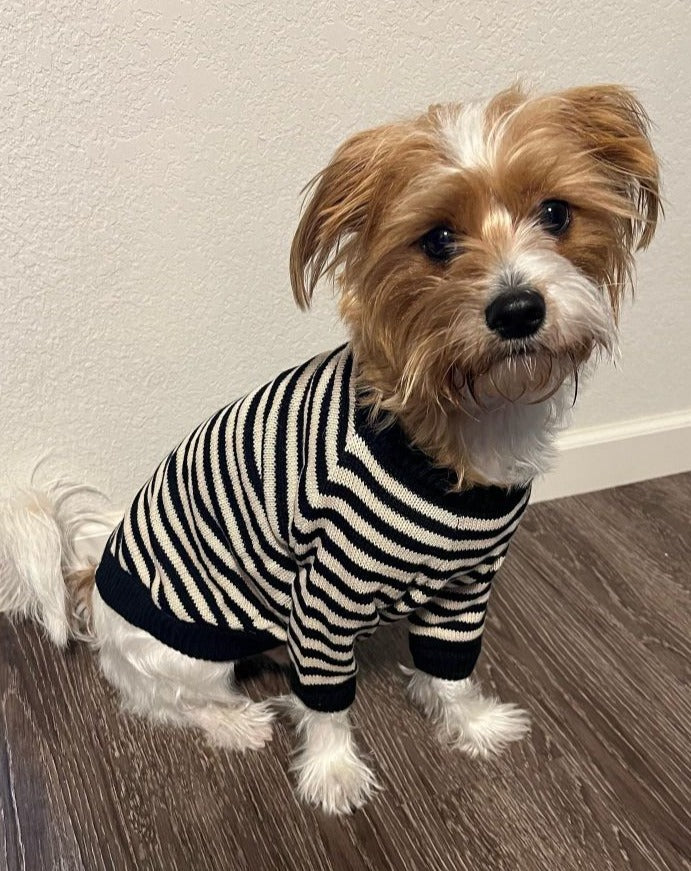 Dog Sweater product image 10