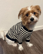 Dog Sweater product image 10
